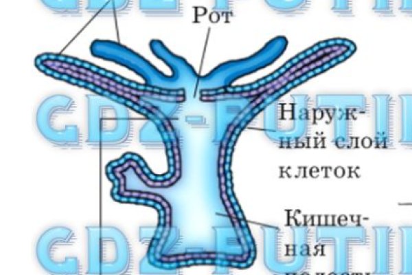 Кракен сайт krakens13 at