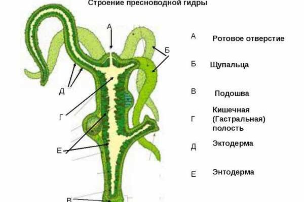 Кракен это современный даркнет маркет