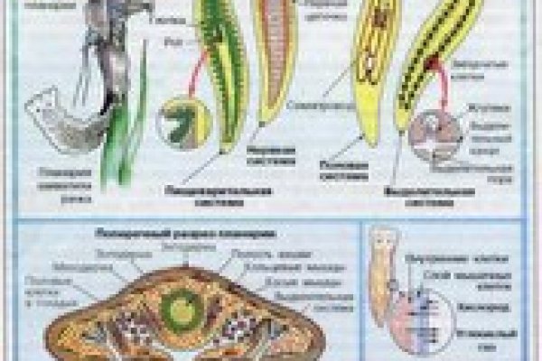 Ссылка на кракен 14ат